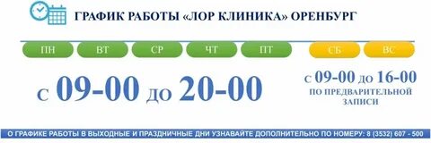 График работы ясеня