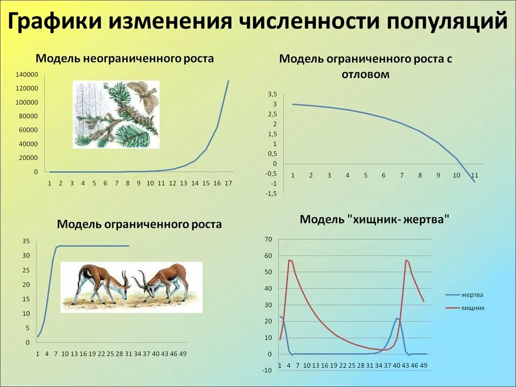 Как изменяется график. Графики изменения численности популяций. график динамики численности популяции. механизм динамики численности популяции. изменение численности популяции.