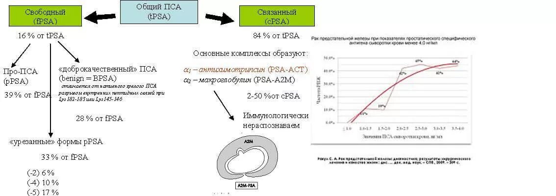 Простатит нормы пса. Показатели анализа крови в норме пса Свободный. Формула расчета анализа пса. Пса общий и Свободный соотношение норма у мужчин. Расшифровка общего анализа на пса.