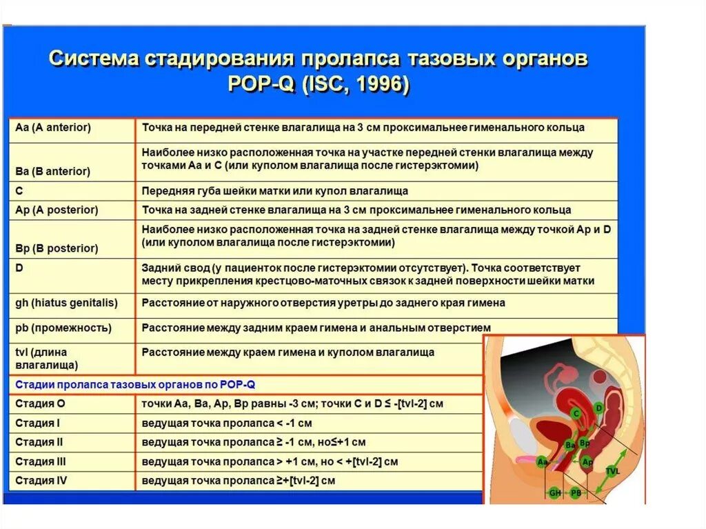 Операция опущения шейки. Pop q классификация пролапса. Пролапс тазовых органов классификация. Классификация выпадения тазовых органов. Классификация пролапса тазовых органов у женщин.