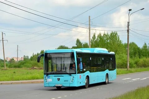 Автобус 57 спб