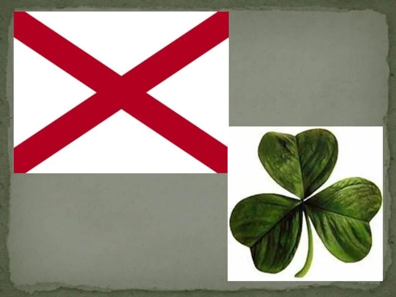 Символ великобритании 5 букв. Символ Северной Ирландии трилистник. Трилистник символ Великобритании. Трехлистный Клевер символ Ирландии. Северная Ирландия Клевер.
