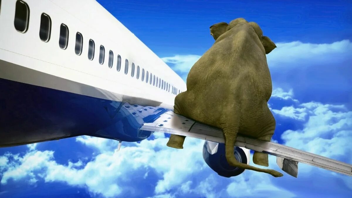 Путешествие на самолете. Открытки я лечу в сочи. Рассказ в отпуск мы не летим объявил. Скоро в отпуск. Пора в отпуск.