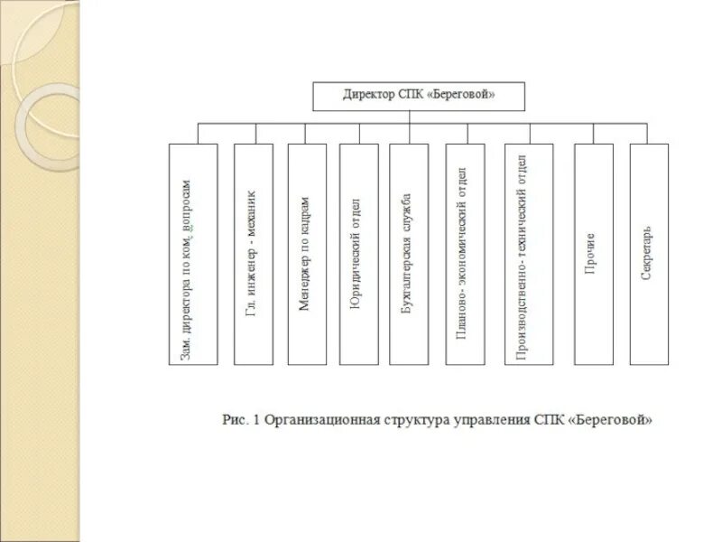Спк образец. Учетная политика спк береговой. спк береговой. кемеровский район спк береговой. совхоз береговой кемеровская область.