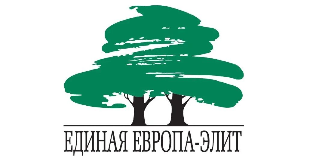 Единая европа кратко. Единая европа кратко. Единая европа кратко. Единая европа холдинг. Единая европа элит логотип.