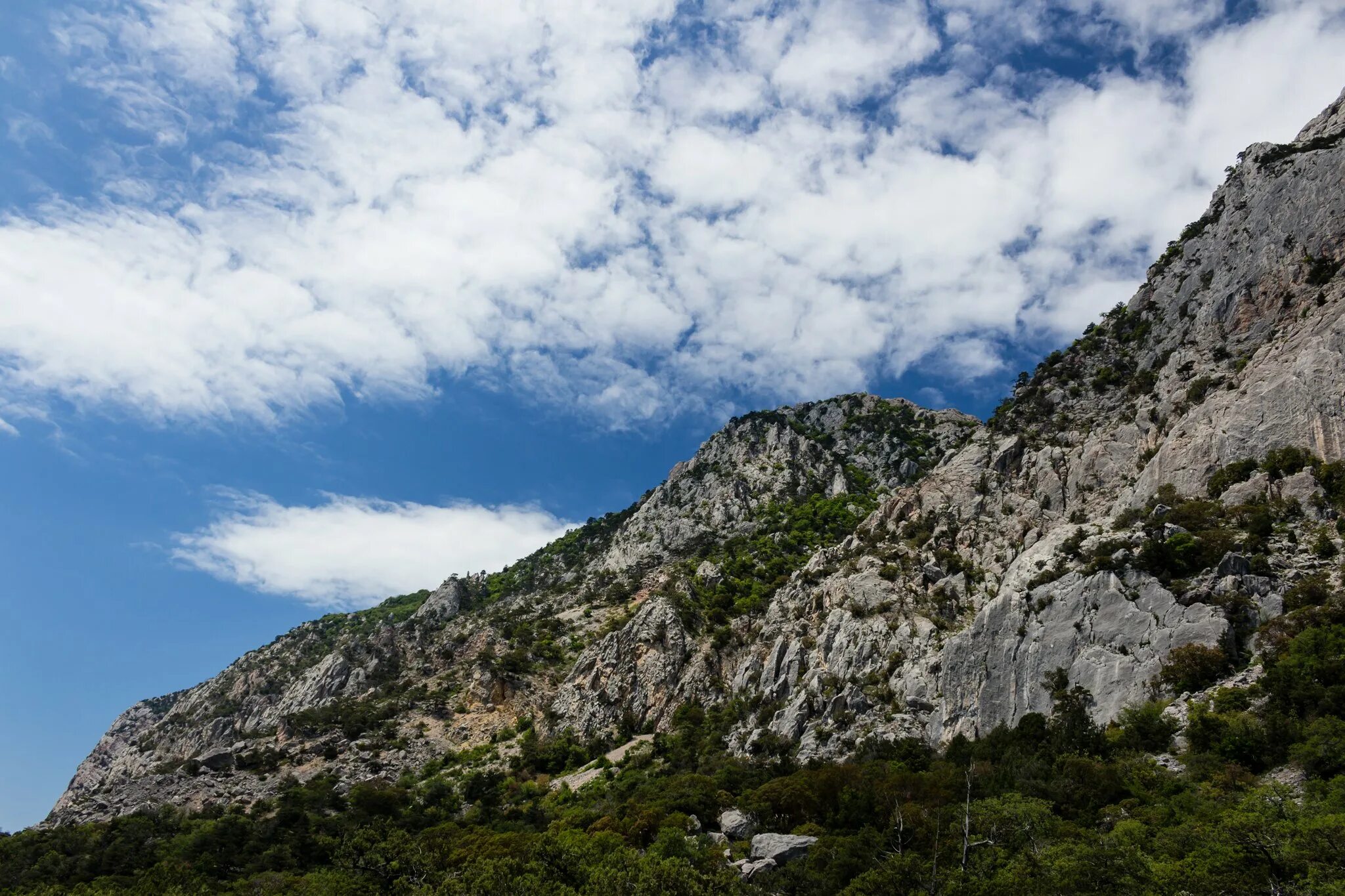 Батилиман куш Кая. Гора куш-Кая в Крыму. Кизилчегер Крым гора. Куш-Кая в Ласпи.