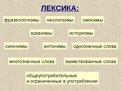 Лексика лексическое значение синоним антоним омоним