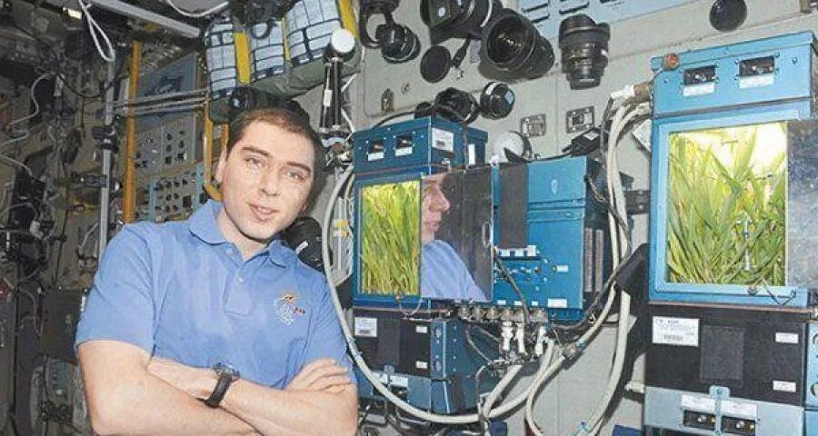 Какой овощ первый вырастили в космосе. Опыты с растениями на МКС (Международная Космическая станция). Космическая оранжерея МКС.