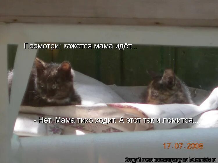 Стихотворение оборванного мишку утешала девчушка в изувеченной избе. Как холодно и мама не идет быть. Детство. Как холодно и мама не идет быть. Очень холодно.