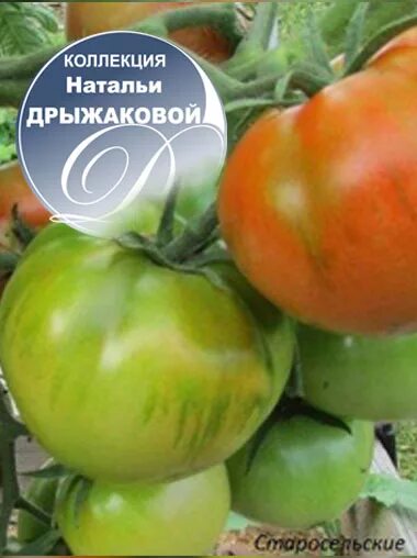 Томат старосельский характеристика и описание. Томат кремень. Томат старосельский семена. Томат старосельский характеристика и описание. Помидоры сорт старосельский медведев.