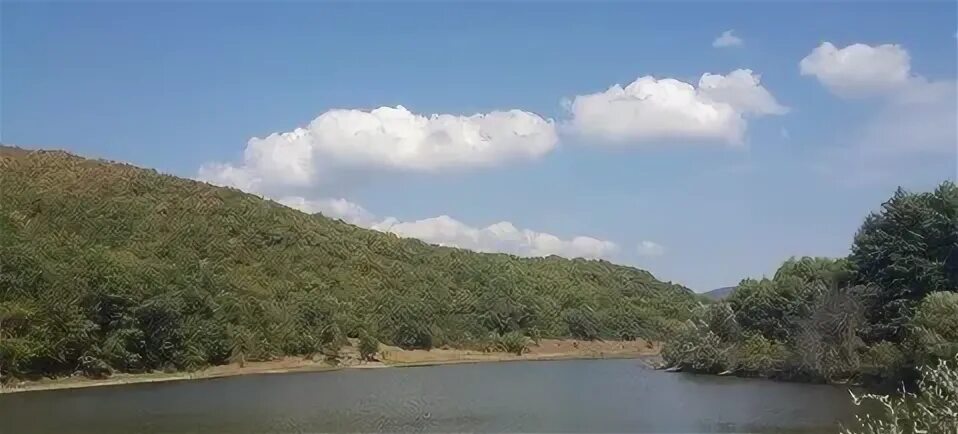 Село Верхоречье Бахчисарайский район. Верхоречье Бахчисарайский район озеро. Лесхоз Верхоречье Бахчисарайский район. Верхоречье Садовая 73 б Бахчисарайский район.