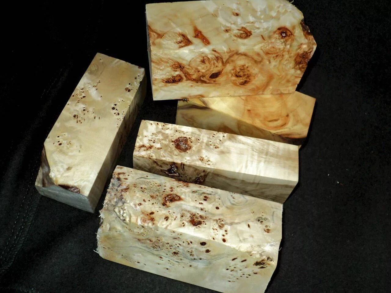 Сувель карагача. Кап форум. Кап форум. Кап березовый. Кап форум.