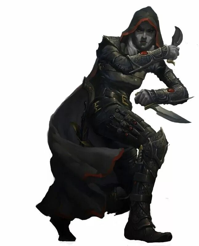 Pathfinder плут. Pathfinder арбалетчик. Полуэльф инквизитор. Rogue dnd. Rogue dnd.
