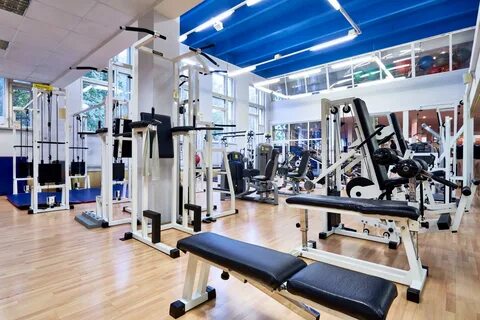 Центр дикуля осенний бул 4 отзывы