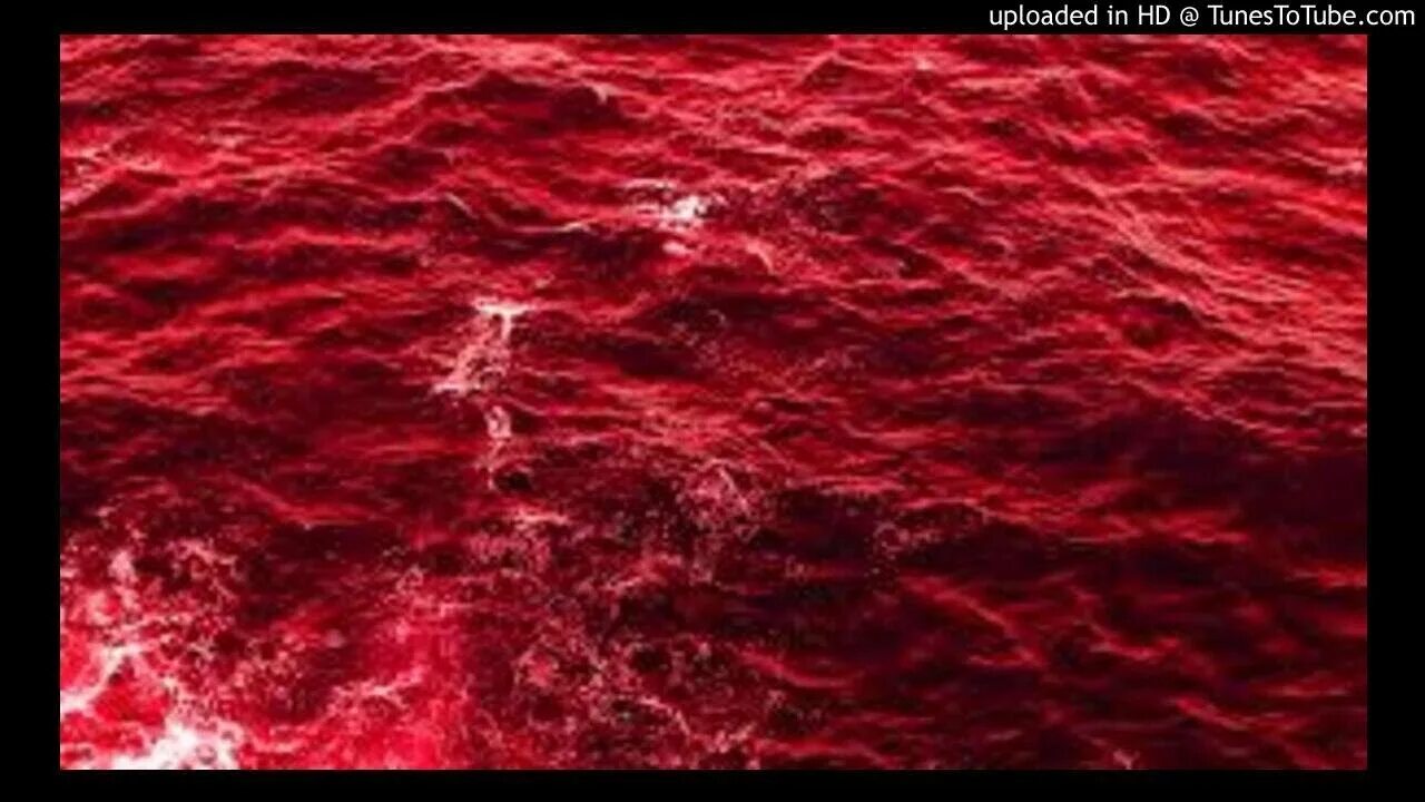 Заказ воды красный. Красный океан. Красная вода.