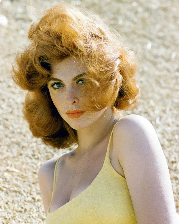 Тина луиз фото. Tina louise. Джинджер грант тина луиз. Tina louise. Тина луиз.