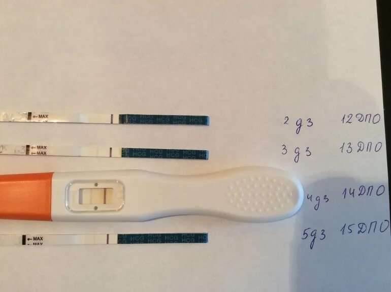 15 ДПО тест. 15 День ДПО тест. Отрицательный тест на беременность на 15 ДПО. 15 ДПО тест на беременность.