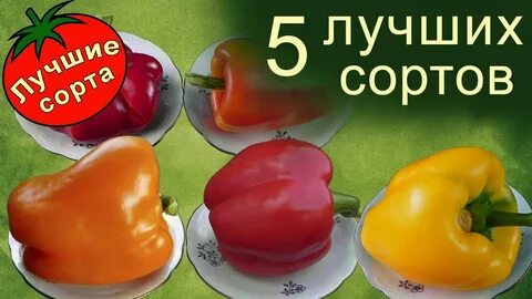 Лучшие сорта перца отзывы