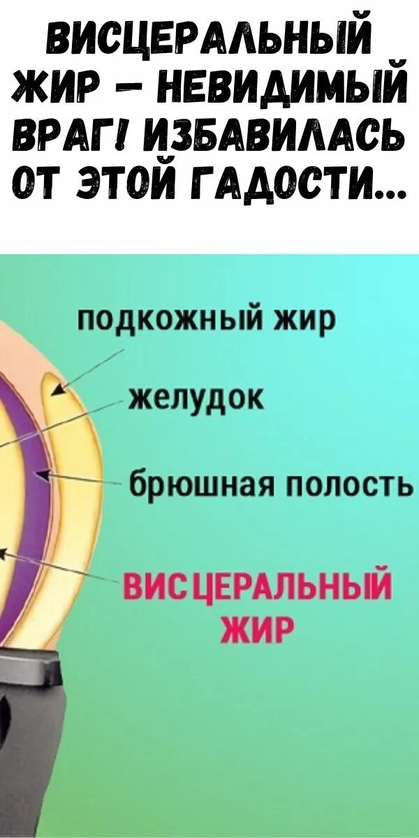 Как избавиться от висцерального жира у женщин. Избавление от висцерального жира. как выглядит висцеральный жир.