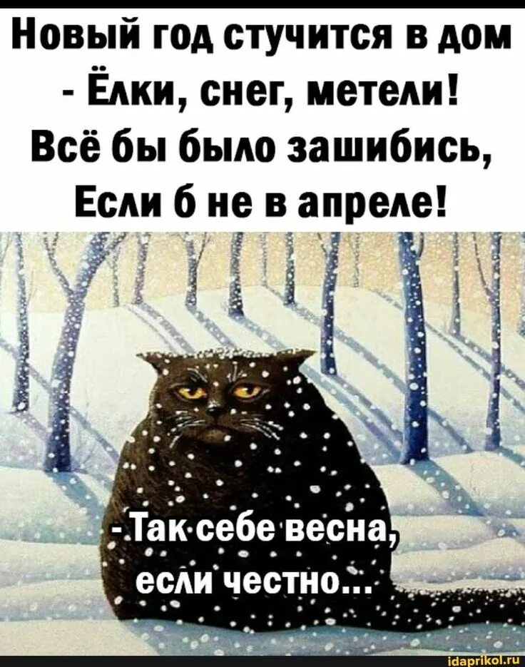 Жизнь зашибись. Новый год стучится в дом елки снег. новый год стучится в дом. новый год стучится в дом елки снег метели все бы было зашибись если. снег в апреле приколы.