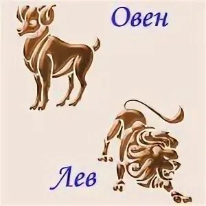 Мужчина лев и женщина овен