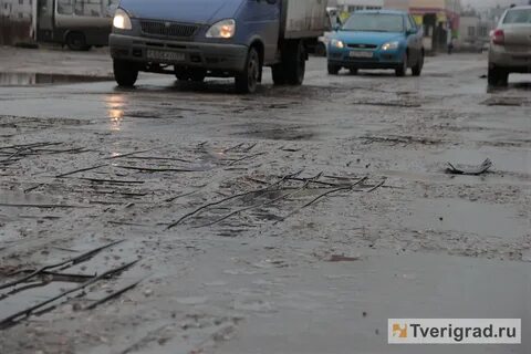 Дорожник радужный