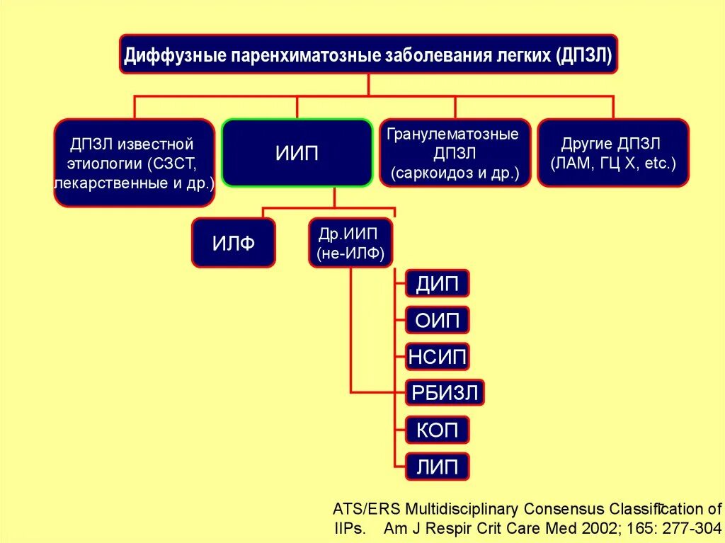 Диффузные паренхиматозные заболевания легких. Классификация интерстициальных поражений легких. Аускультация при интерстициальном отеке легких. Классификация интерстициальных поражений легких. Интерстициальные болезни легких классификация.
