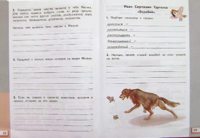 Литература 3 рабочая. Малька провинилась рабочая тетрадь. Малька рабочая тетрадь по литературе 3 класс. Письмо Мальке. Малька провинилась рабочая тетрадь по литературному чтению