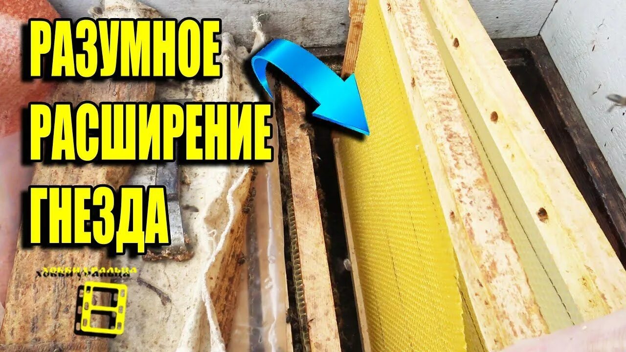 Когда подставлять вощину пчелам
