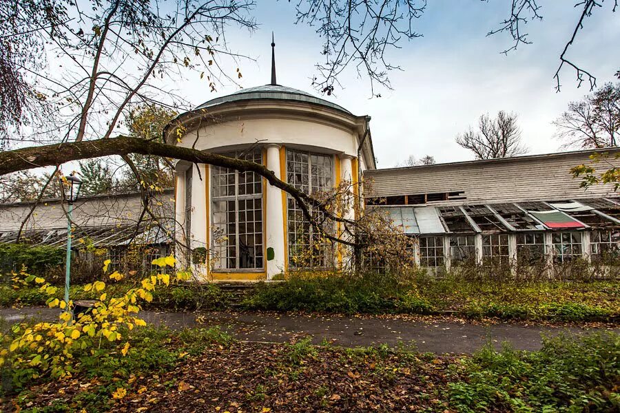 Каменная оранжерея в кусково. Ботанические оранжереи усадьбы архангельское. Большая каменная оранжерея музея "усадьба кусково". Большая оранжерея кусково. Усадьба кусково оранжерея.