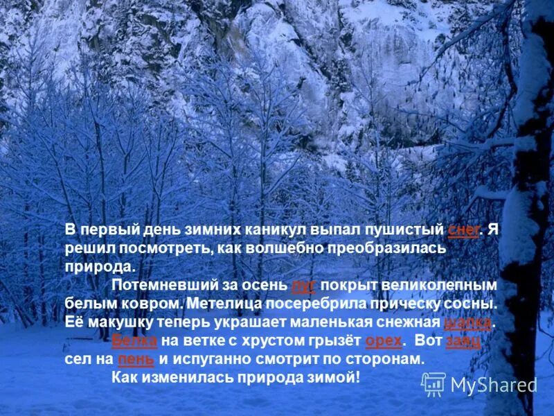 При изменение слово выпадает. Выпал пушистый снег. Сочинение 1 день зимы. Первый снег как преобразилась природа. Зимой природа преображается.