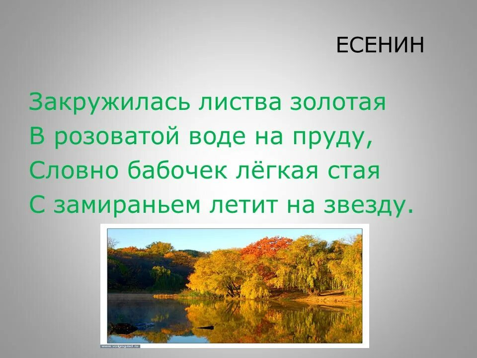 Стихи о природе 4 класс короткие. Маленький стих о природе 4 класс. Закружилась листва Золотая Есенин. Небольшое стихотворение о природе 4 класс. Словно бабочек легкая