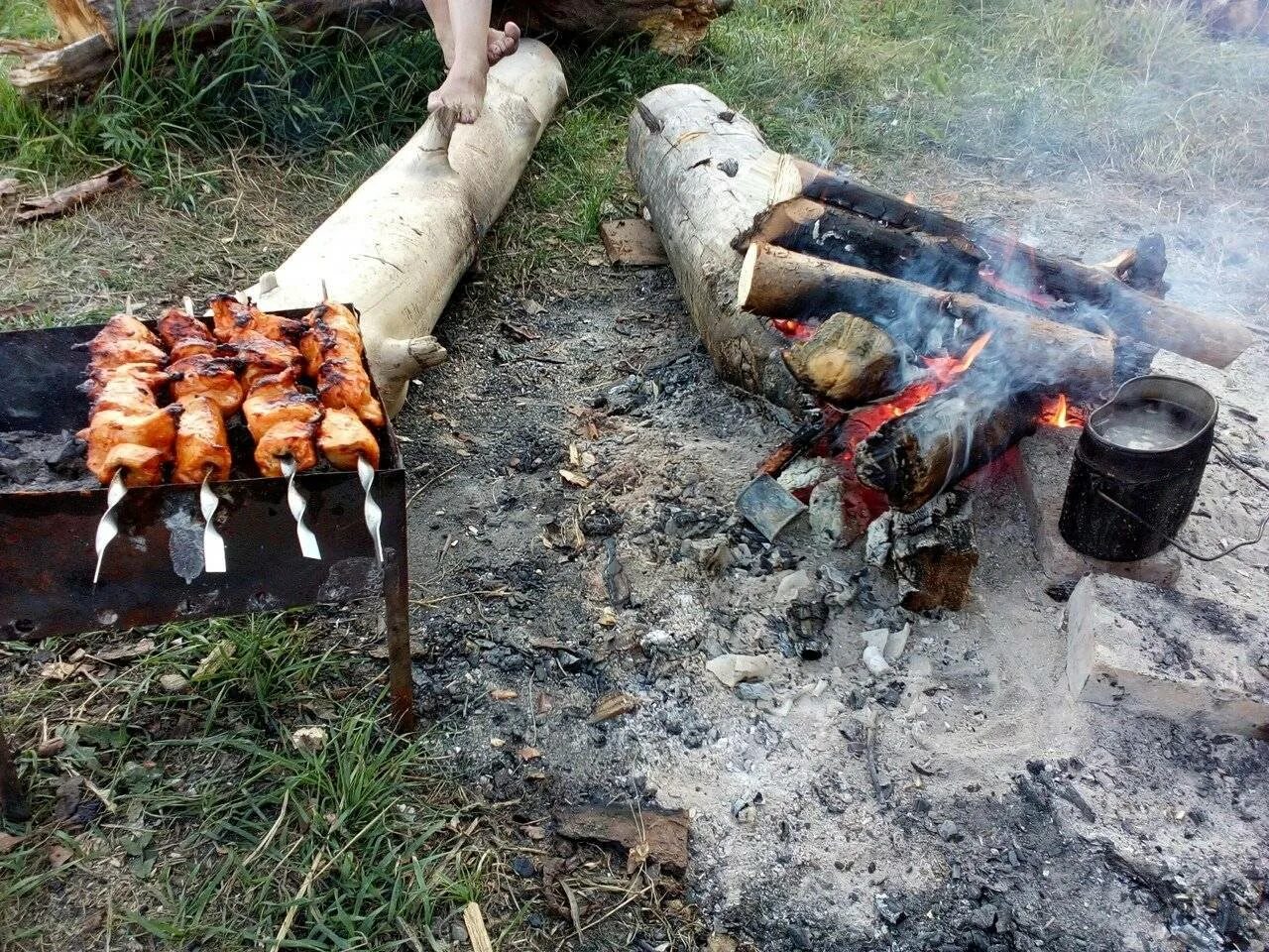 Где нельзя жарить. Шашлыки на природе. Шашлык на костре. Костер шашлык природа. Шашлыки на даче.