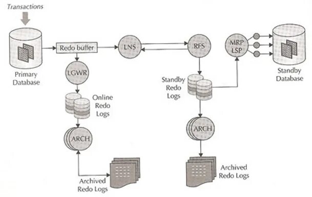 Oracle data guard. Undo oracle. undo redo. операция redo. undo redo stack.