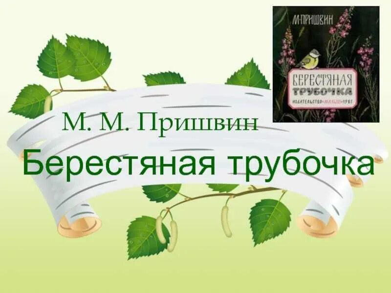 Пришвин берестяная трубочка читательский дневник. Берестяная трубочка читательский дневник 2. Берестяная палочка пришвин. Пришвин берестяная трубочка иллюстрация. Пришвин берестяная трубочка иллюстрации к рассказу.