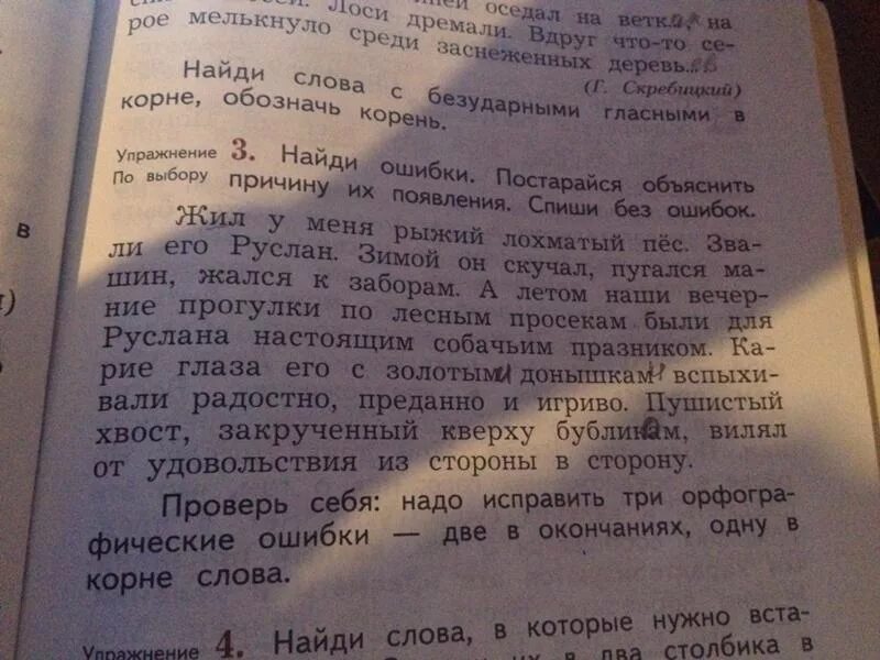 Ошибки в тексте книги. Найди и исправь ошибки в тексте. Ошибки постарайся объяснить причину их появления Спиши без ошибок. Жил у меня рыжий лохматый пес.