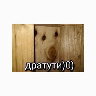 Дратит