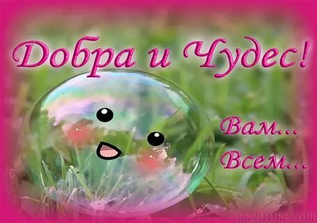 С ее чудо