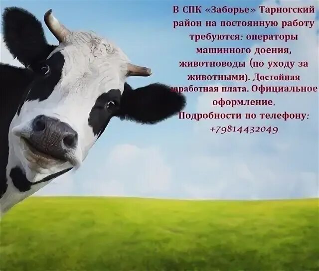 Спк 20. Спк 20