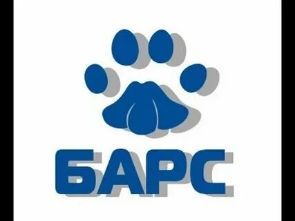 Барс брянск
