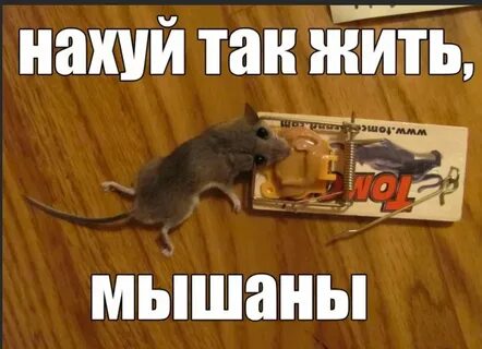 Ебануться