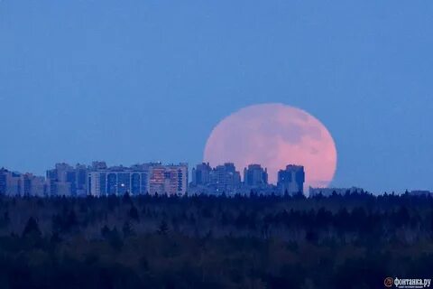 Какая сегодня луна в спб 2024