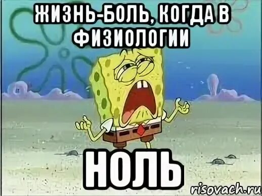 Сдаем физиологию