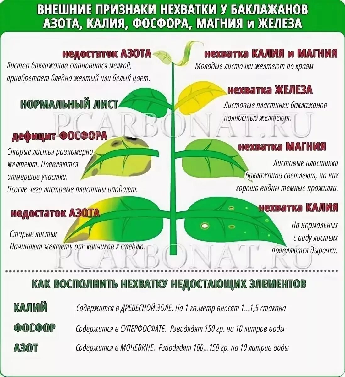 Какие удобрения по листу