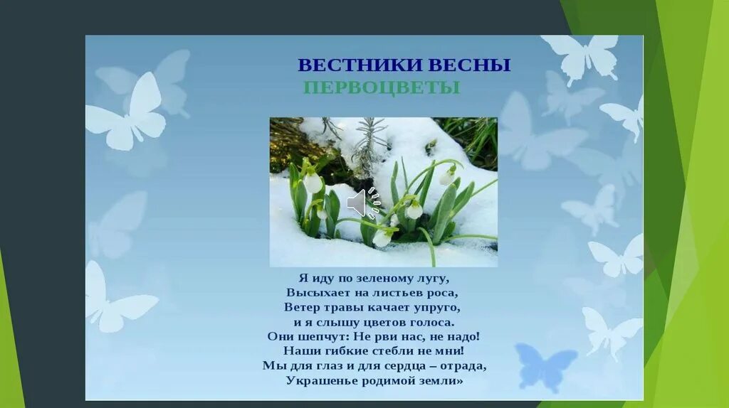 Стихотворение о первоцветах. Загадки про первоцветы для детей. Стихотворение о первоцветах. Стихи о цветах первоцветах. Стихотворение о первоцветах.