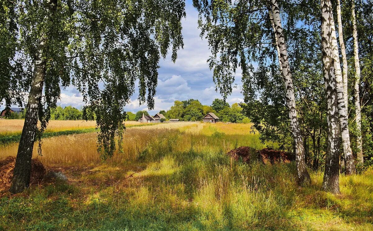 Родной край связь. Моя малая Родина Россия. Родина природа. Деревенская природа. Природа нашей Родины.