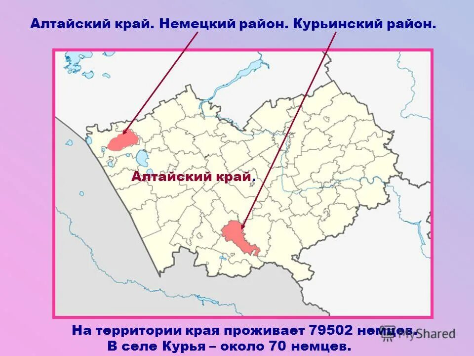 Барнаул курья. Немецкий район Алтайский край на карте. Курья Курьинский район Алтайский край. Село Курья Алтайский край на карте Алтайского края. Курья Алтайский край на карте.