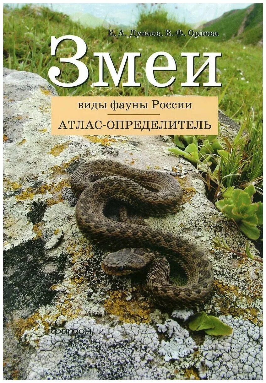 Змеи виды фауны России атлас-определитель. Энциклопедия о змеях. Змеи книга. Атлас определитель змеи.