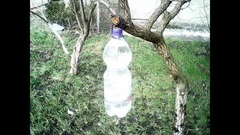 Умывальник из бутылки 5