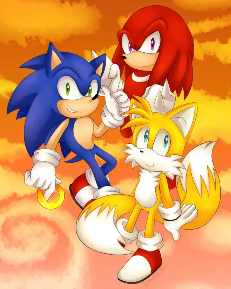 Boy sonic. Sonic Team. Sonic Heroes Team Sonic. Sonic Heroes команды. Sonic Team картинки.